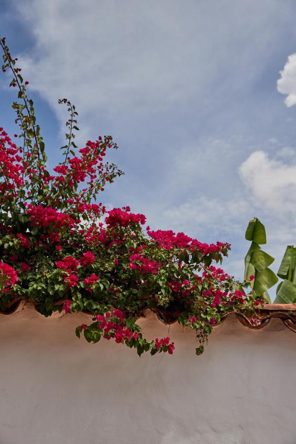 Hotel Santos De Piedra - Maranatha Barichara Dış mekan fotoğraf